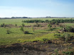 P7050026.JPG