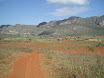 P4230034.JPG