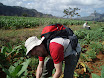 P4230043.JPG