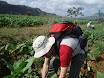P4230042.JPG
