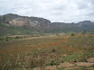 P4230060.JPG