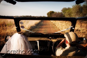 Bride on safari - Joretha Taljaard Wedding Photography