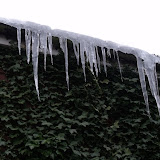 2010_0114snow0007.JPG