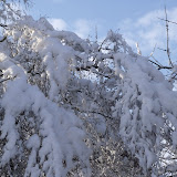 2010_0108snow0017.JPG