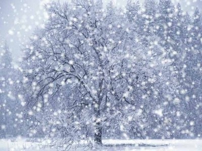 [snow[3].jpg]