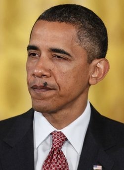 [aint no flies on me[4].jpg]