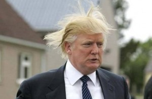 [trump the donald's hair[2].jpg]