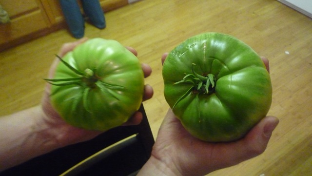 [P1010388[2].jpg]
