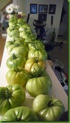 P1010390