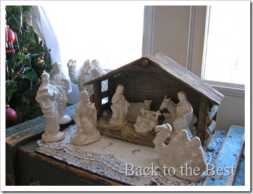 IMG_3371 IMG_3371