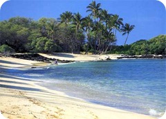 hawaii beach
