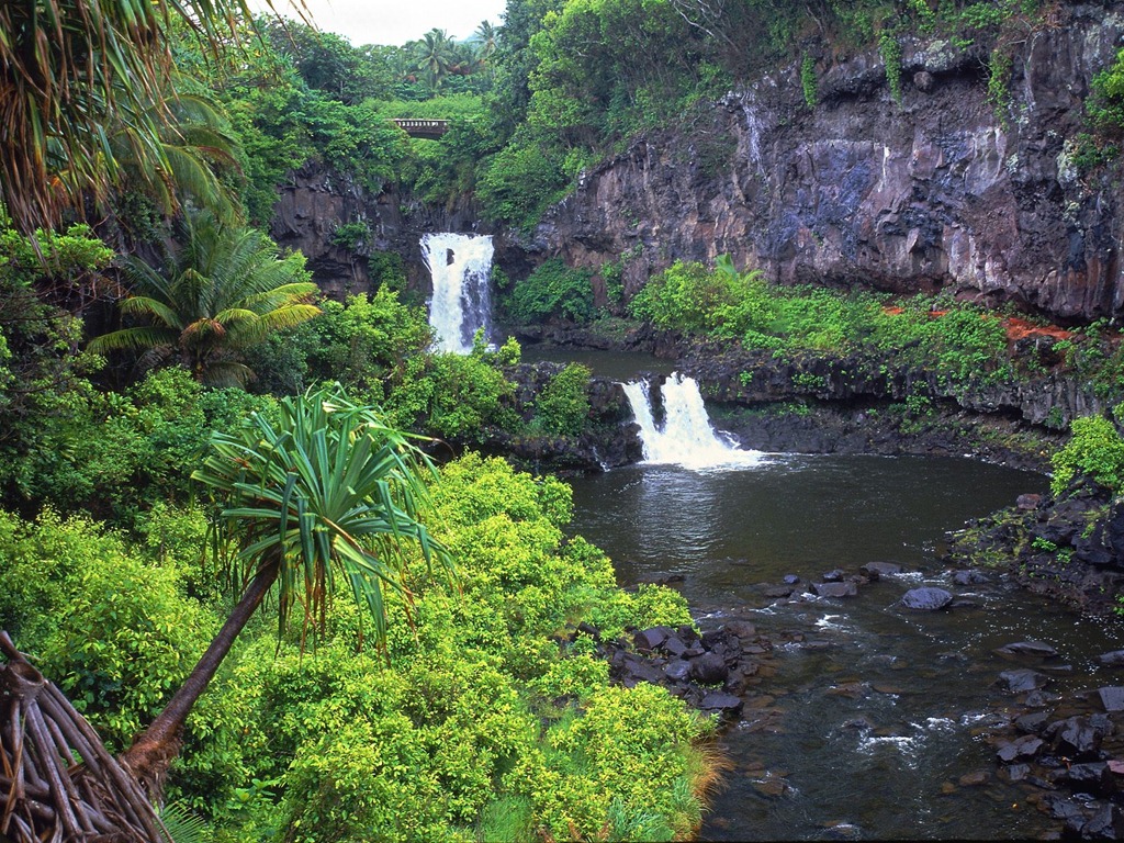 [Maui[3].jpg]