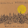 The Wailing Wall - 2009 - Hospital Blossoms