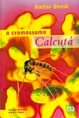 O Cromossomo Calcutá