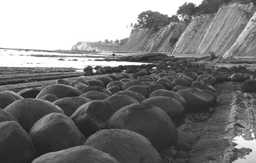 Bowling Ball Beach Bowling Ball Beach