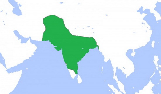 [3. Mughal Empire[6].jpg]