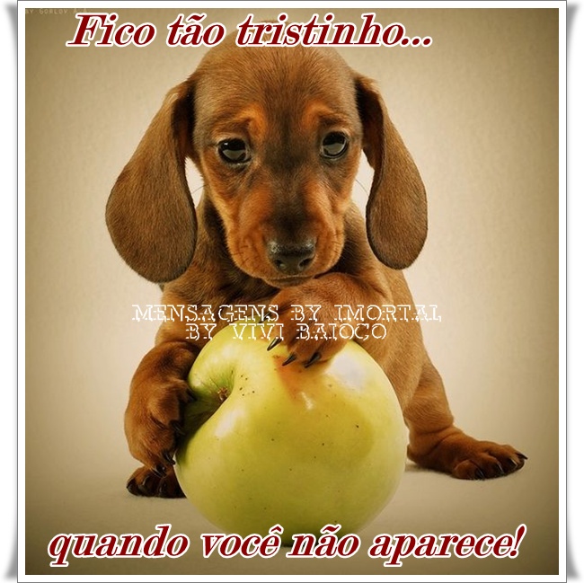 orkutte