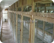 Interior de outro viveiro Interior de outro viveiro