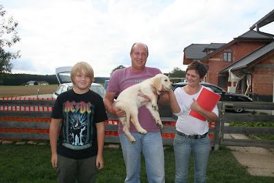 Golden Retriever Welpen beim Abholen
