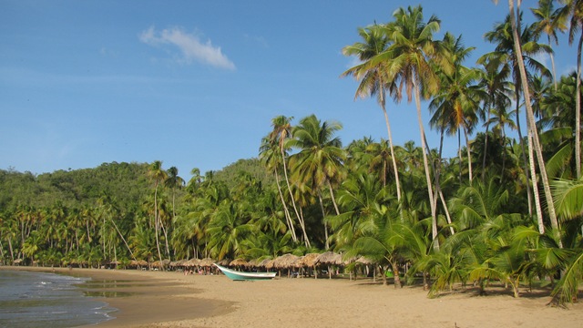 [IMG_33432.jpg]