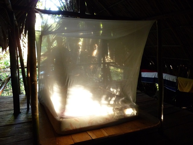 [P10304422.jpg]