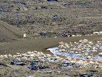 Coffepot Crater  Photo