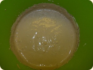 P1010054 P1010054