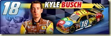 kyle Bush #18