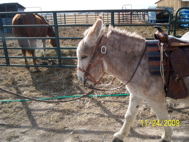 [100_1603[2].jpg]