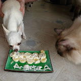 Angelica's 13th  Birthday