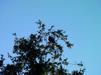 SANY0028.JPG