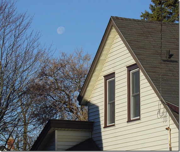 Roofline and moonlight