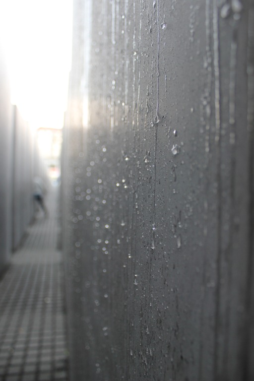 [IMG_54593.jpg]