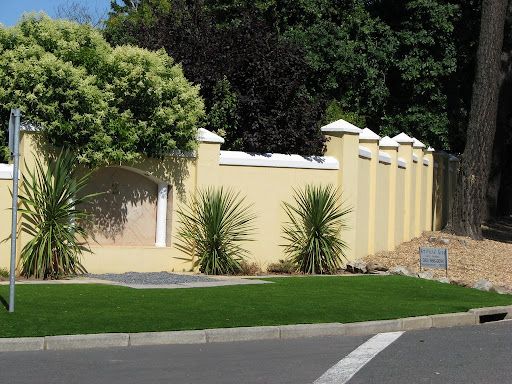 synthetic grass house