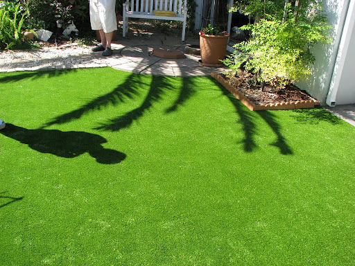 synthetic grass home