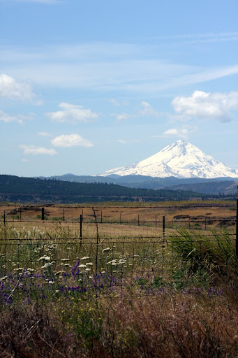 mount hood along rte 14 near bingen 