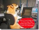 Computer Dog Tech Support