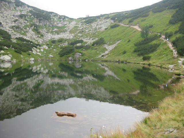 ZVEROVKA%2009%20477.jpg