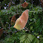 DSCN0728.JPG