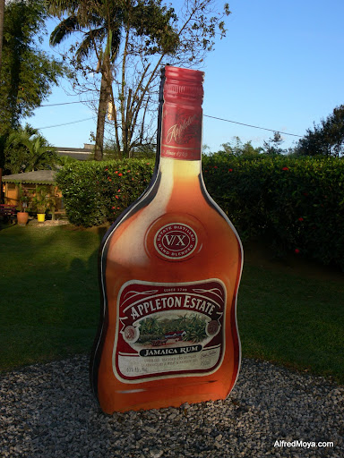 Appleton Jamaica Tours