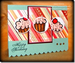 WT196 Birthday Cupcakes