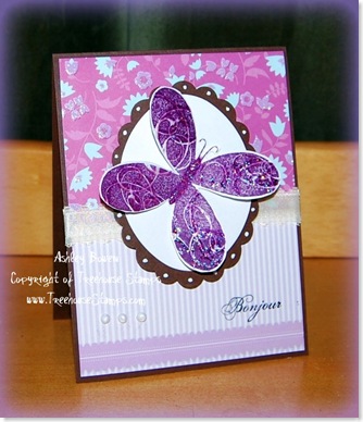 bonjour butterfly