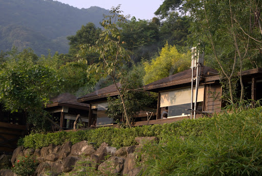 整個餐廳就是在一片林子裡搭建起來的，所以會覺得到處都是樹，置身在林子裡