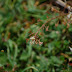 Dsc_5828