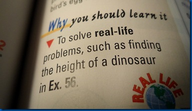 math-is-important-dinosaur