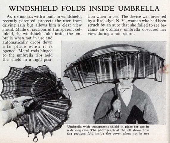 [umbrella_windshield[3].jpg]