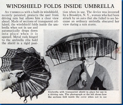 umbrella_windshield