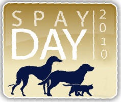 [spayDay2010[7].jpg]