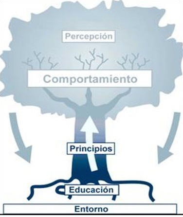[comportamiento[4].jpg]