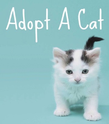 [adopt a cat small[4].jpg]